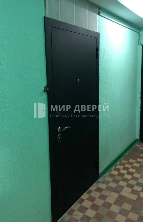 Фото двери № 435