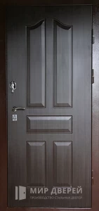 Дверь входная с зеркалом и глазком №60 внешняя - фото